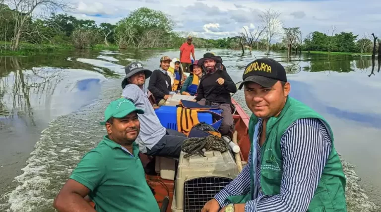 Un S.O.S por la fauna silvestre de La Mojana