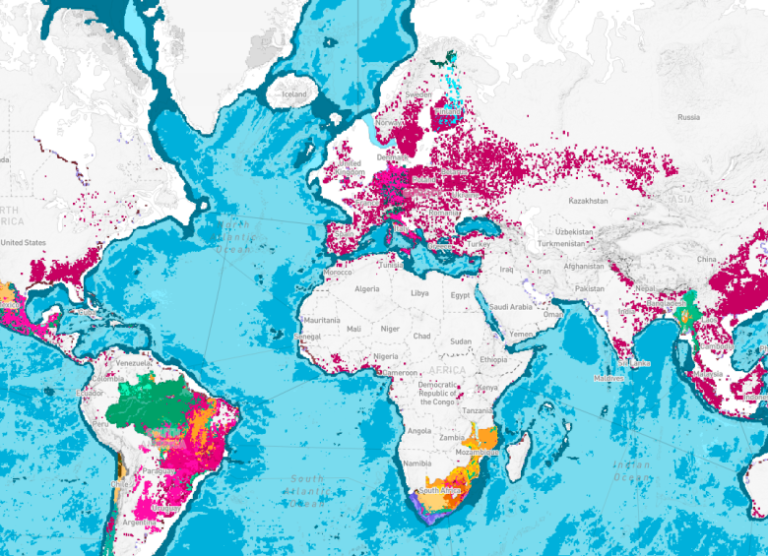 Atlas Global de Ecosistemas en la COP16: Descubre su Impacto y Beneficios Ambientales