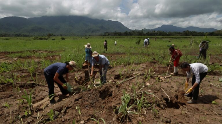 El Pago por Servicios Ambientales: Un Mecanismo Clave Destacado en la COP16 para Mitigar el Cambio Climático
