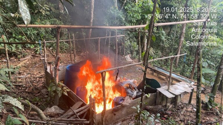 Destruido laboratorio de producción de base de coca en Antioquía.