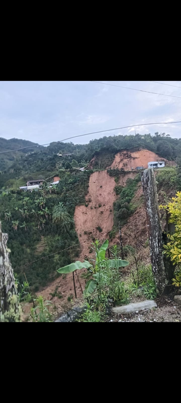 Emergencia Invernal en Argelia, Antioquía: Derrumbes y Deslizamientos Afectan Vías y Cultivos