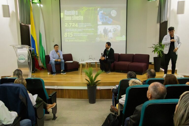 ¡Balance de la Audiencia Pública de Rendición de Cuentas, destacando los logros de la gestión durante la vigencia 2024!