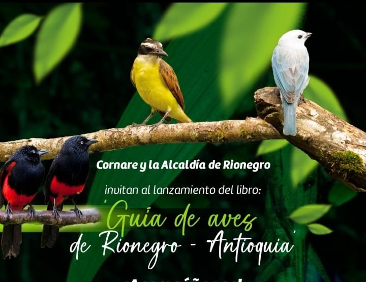Rionegro lanza su Guía de Aves: una apuesta por la conservación y educación ambiental