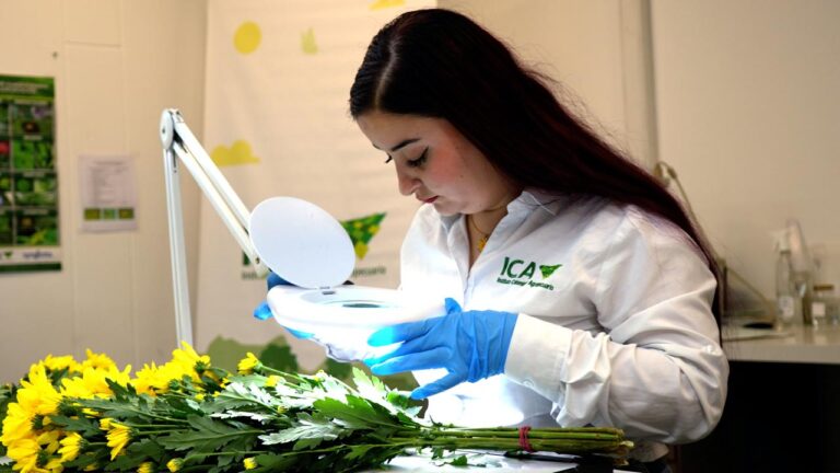 Colombia triplicó la exportación de flores a diferentes países del mundo para la celebración del Día de la Madre