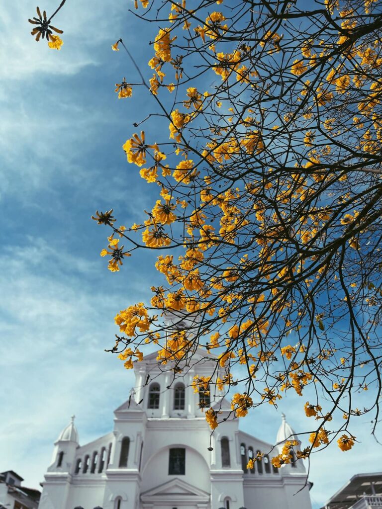 Marinilla, ejemplo de manejo responsable de los recursos públicos en Antioquia