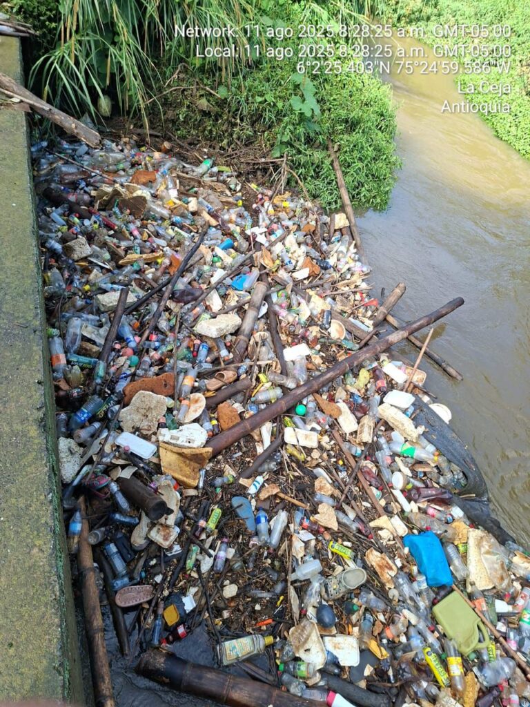 Nueva jornada de limpieza en el viaducto de San Joaquín por contaminación recurrente
