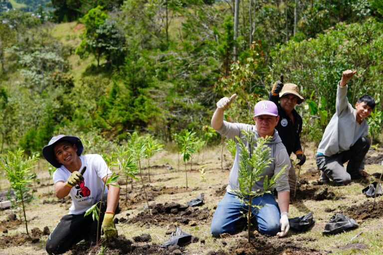 Rionegro Sobrepasa Normativas Ambientales: Casi 300 Árboles Plantados como Compensación por la Intervención en la Glorieta SOMER