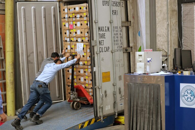 El ICA conquista a Australia con exportaciones de flores inspeccionadas desde puntos de origen.