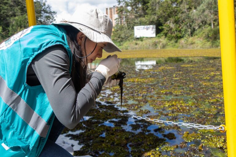 Cornare y aliados avanzan en la recuperación ecológica del humedal Abreo Malpaso en Rionegro