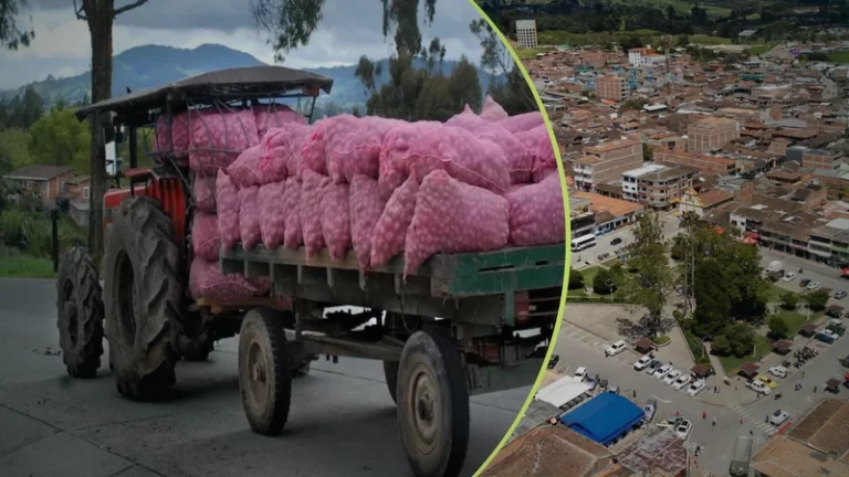 La Unión, Antioquia: La Capital Latinoamericana de Tractores Impulsa la Agricultura con Papa y Fresa