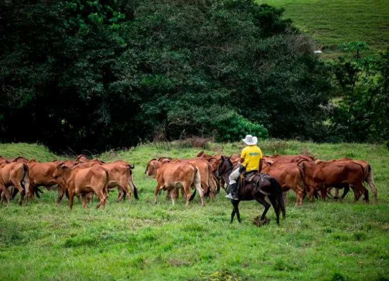 Innovador Proyecto Agro100 Impulsa la Agricultura en Antioquia con IA y Asistente Virtual