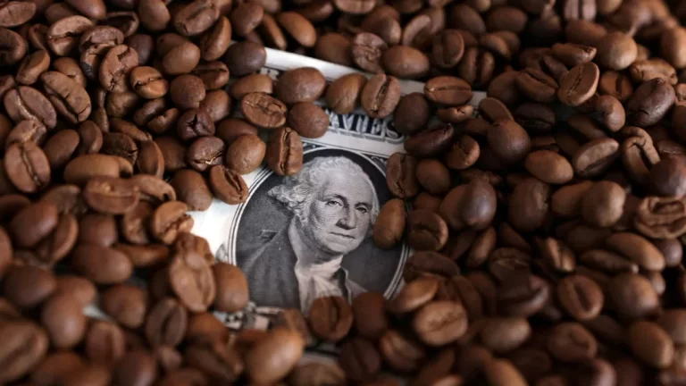 La Apreciación del Peso Colombiano Amenaza la Competitividad del Sector Agroexportador: Cafeteros y Floricultores en Alerta