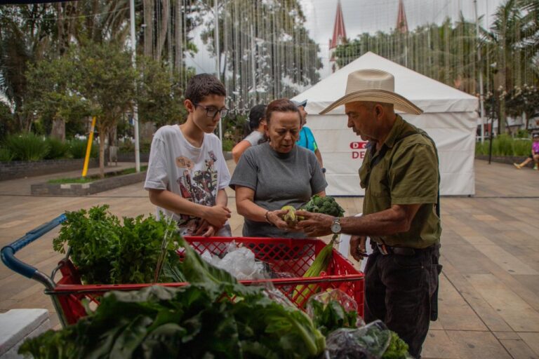Del campo a la mesa: La Ceja reactiva los Mercados Campesinos y fortalece la economía rural