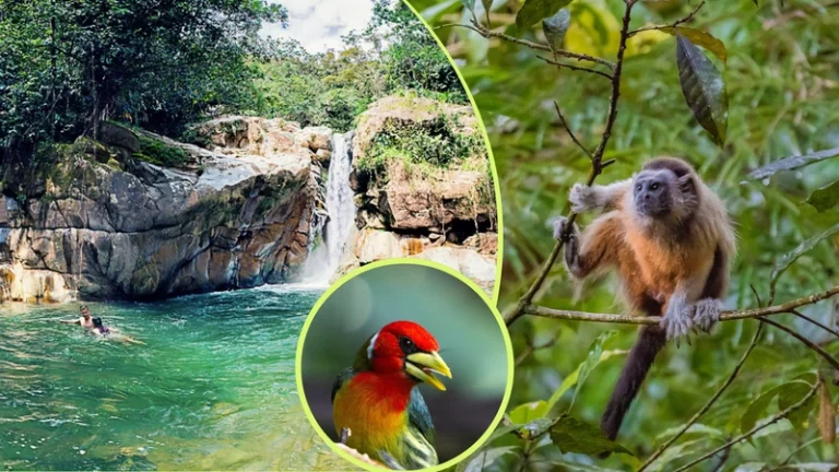Descubre el Paraíso de Aguas Cristalinas en San Rafael: El Nuevo Destino de Turismo Natural en Antioquia