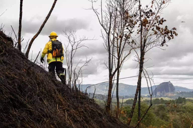 Alerta en Antioquia: Cornare exige medidas urgentes ante la llegada de un fenómeno de El Niño «fuerte» en 2026