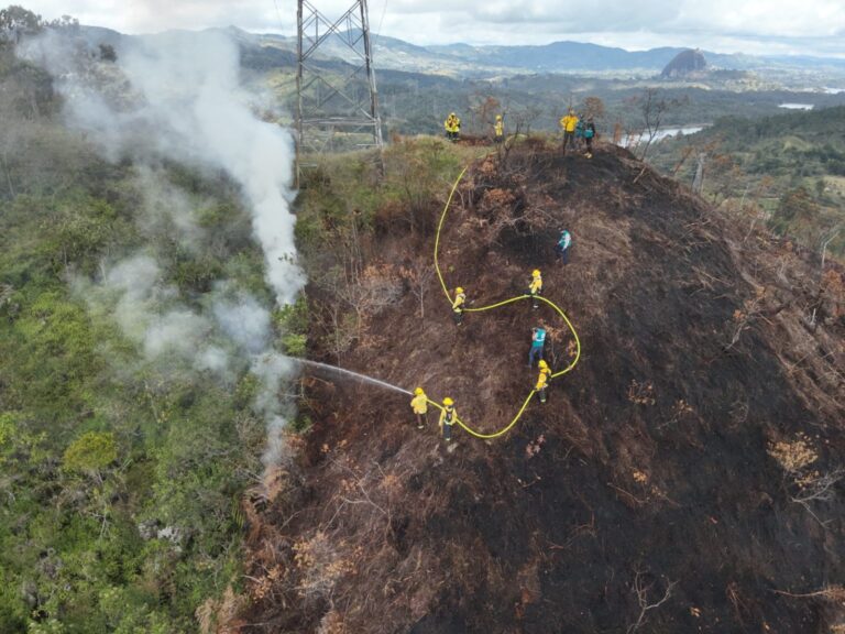 51 incendios de cobertura vegetal afectan cerca de 60 hectáreas en la región Cornare
